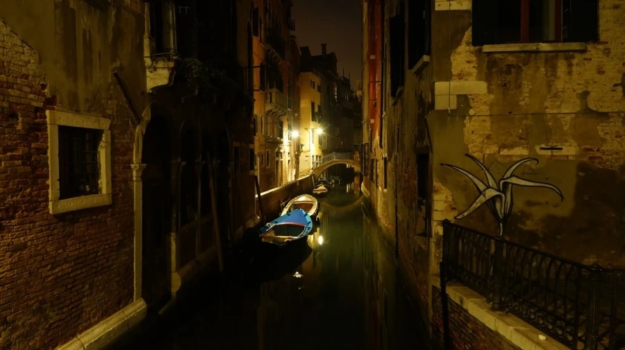 DSC07344%E3%85%A1.jpg?type=w1