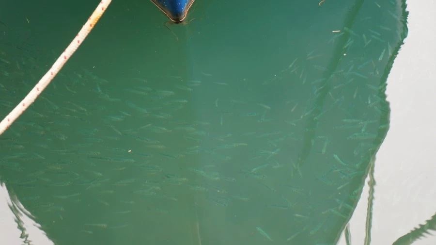 DSC06072.jpg?type=w1