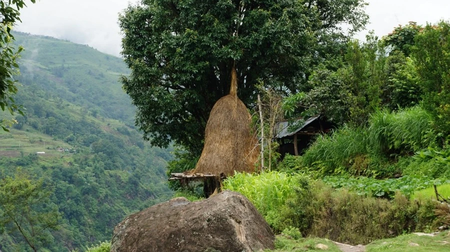 DSC01047%A4%BB.jpg?type=w1