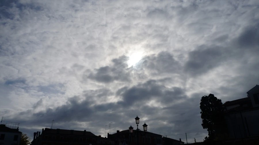 DSC07008%E3%85%A1.jpg?type=w1