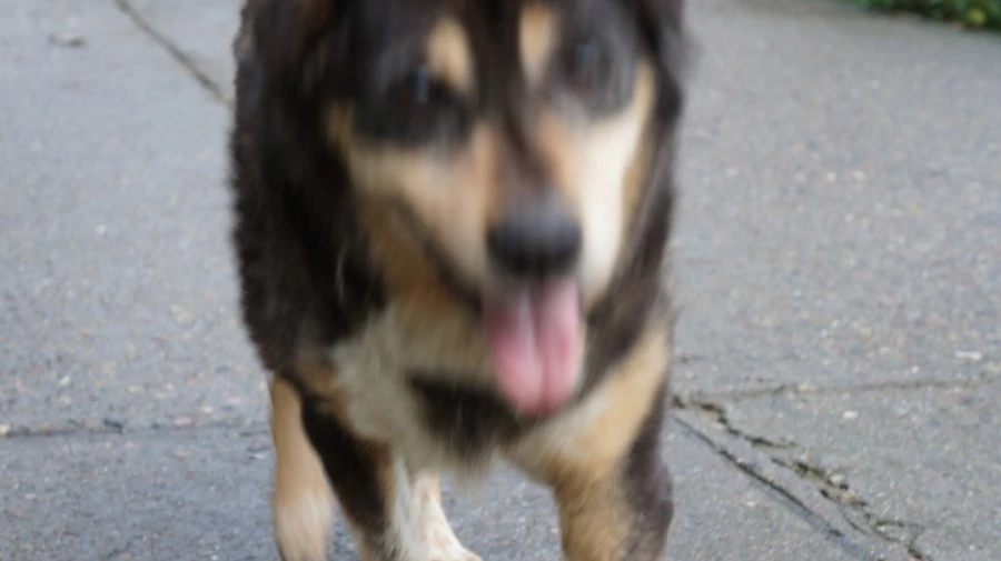 DSC02566.jpg?type=w1