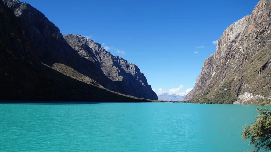 DSC01553.jpg?type=w1