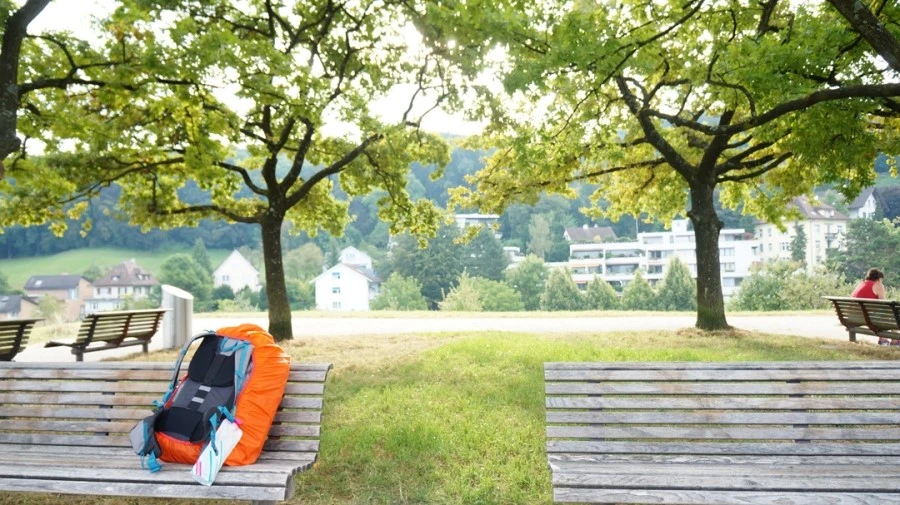 DSC04613.jpg?type=w1