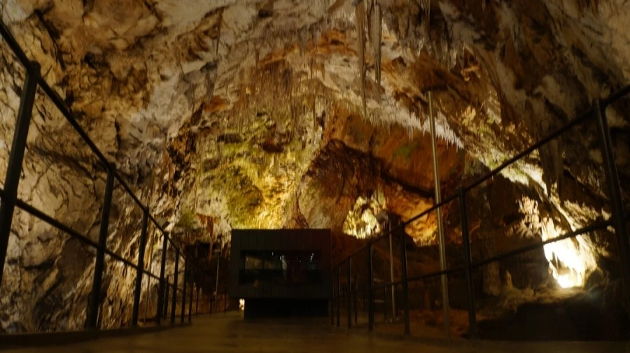 DSC06460.jpg?type=w1