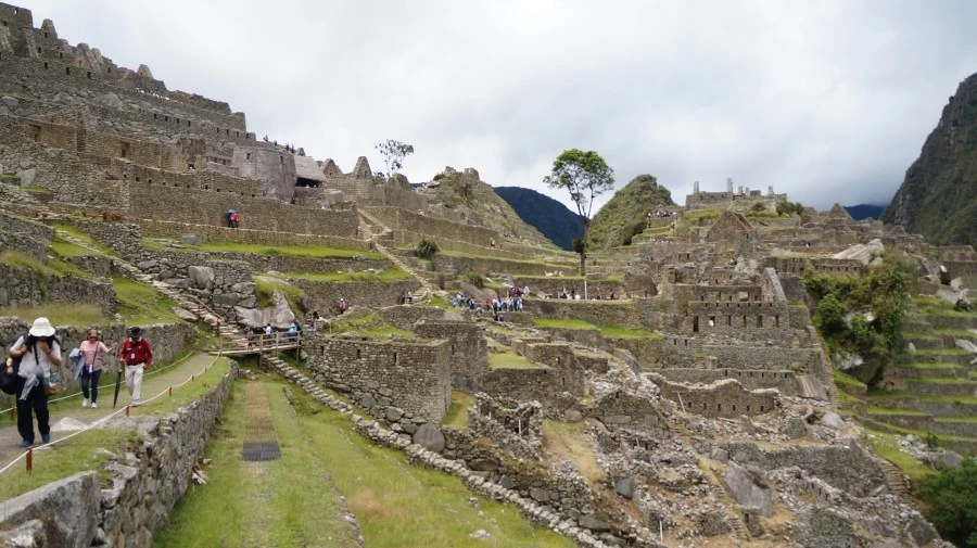 DSC01534.jpg?type=w1