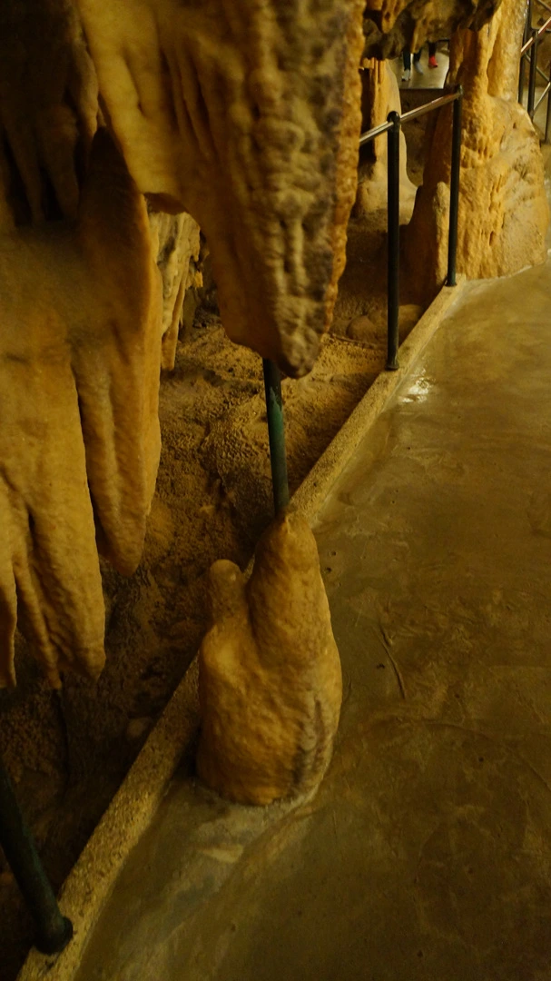 DSC06415.jpg?type=w1