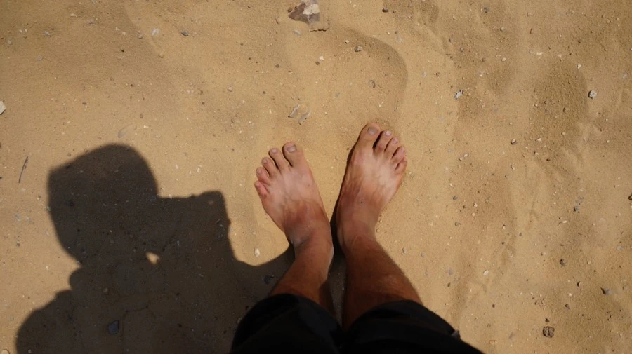 DSC04492.jpg?type=w1