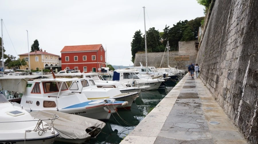 DSC06071.jpg?type=w1