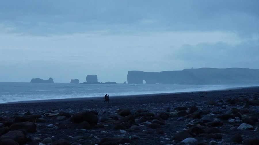 DSC08370.jpg?type=w1