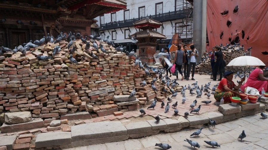 DSC00768-.JPG?type=w1