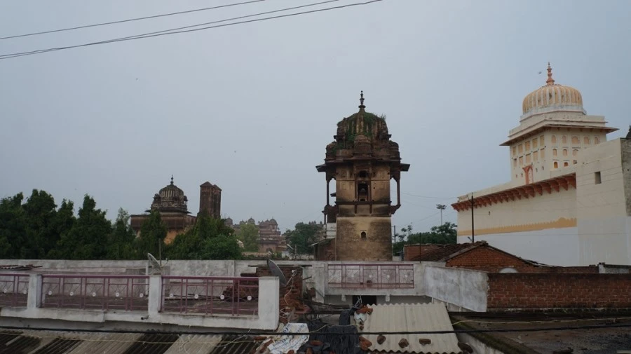 DSC03361.jpg?type=w1