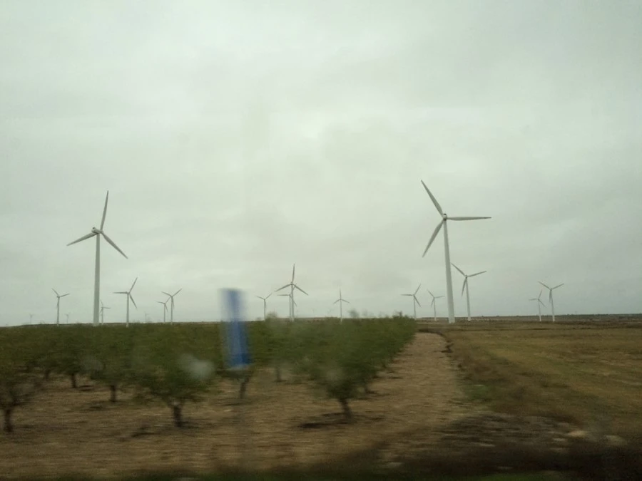 IMG_6748.jpg?type=w1