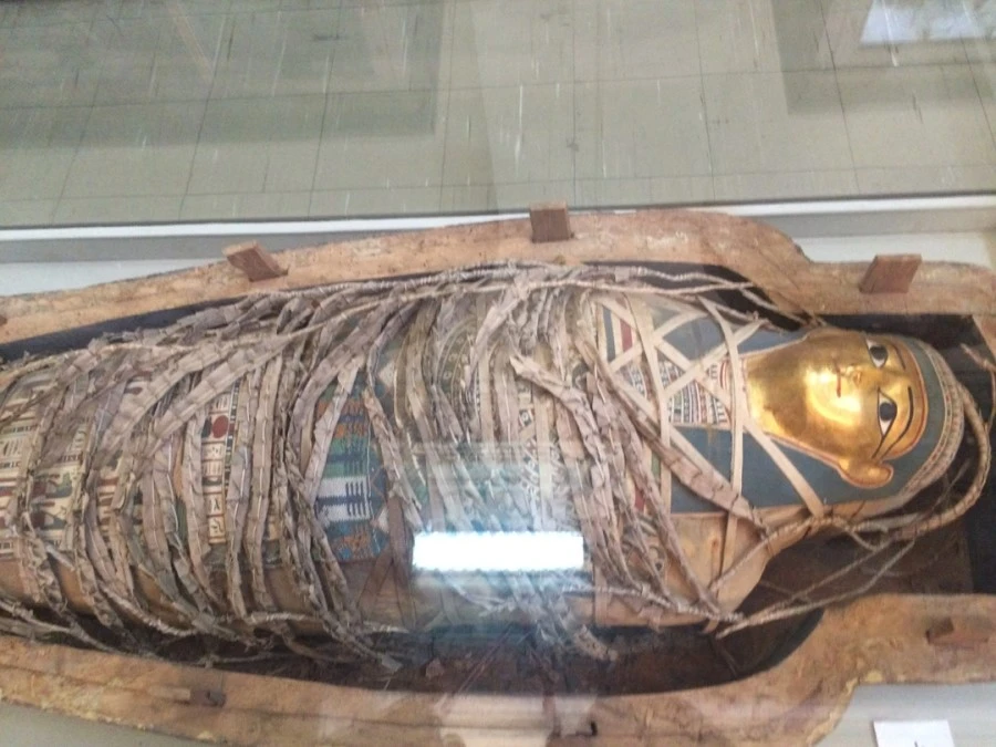 IMG_3271.jpg?type=w1