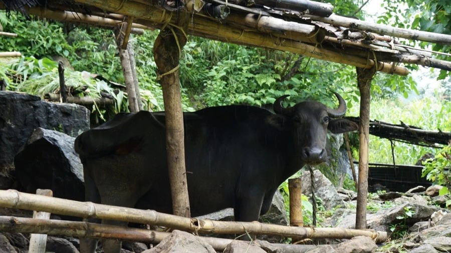 DSC01089%A4%BB.jpg?type=w1