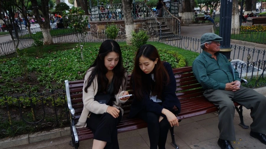 DSC00688.jpg?type=w1