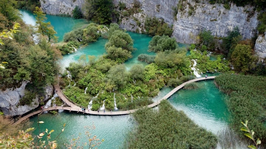 DSC06005%A4%D11.jpg?type=w1