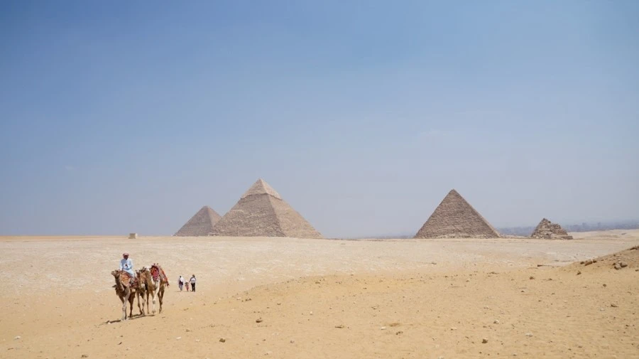 DSC04459.jpg?type=w1