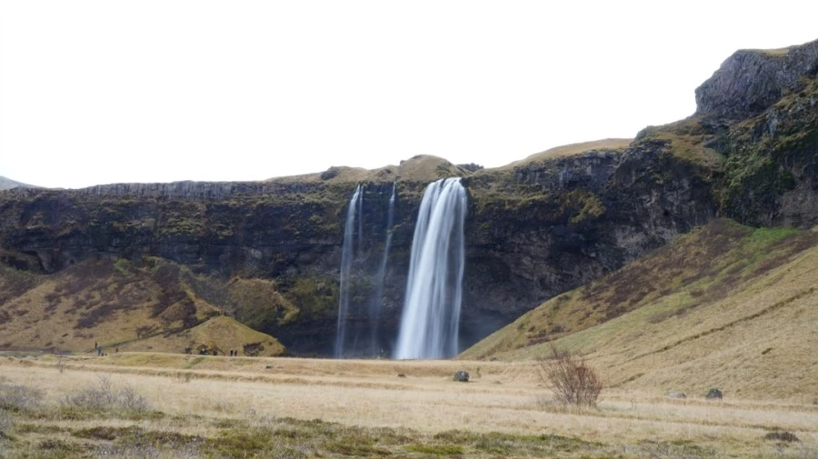 DSC07961.jpg?type=w1