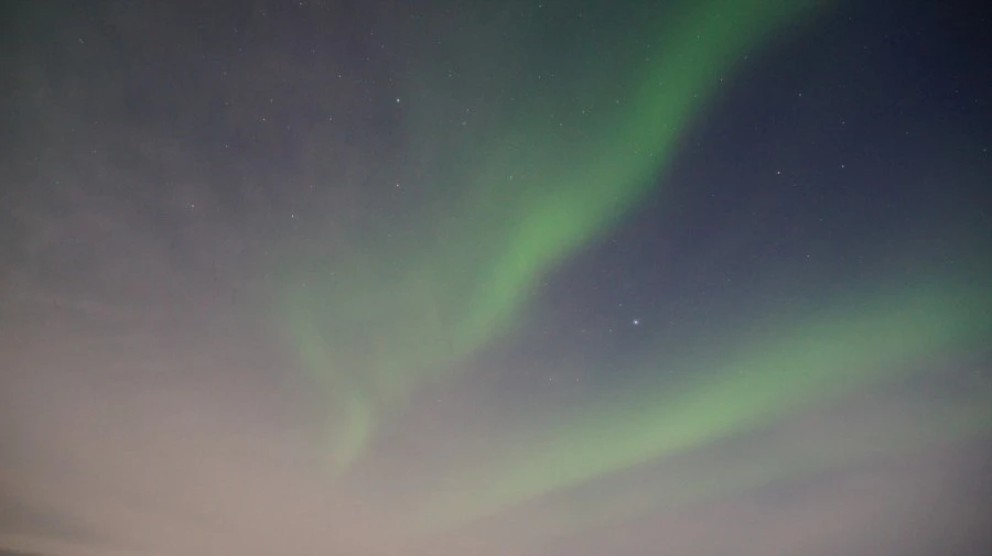 DSC09096.jpg?type=w1