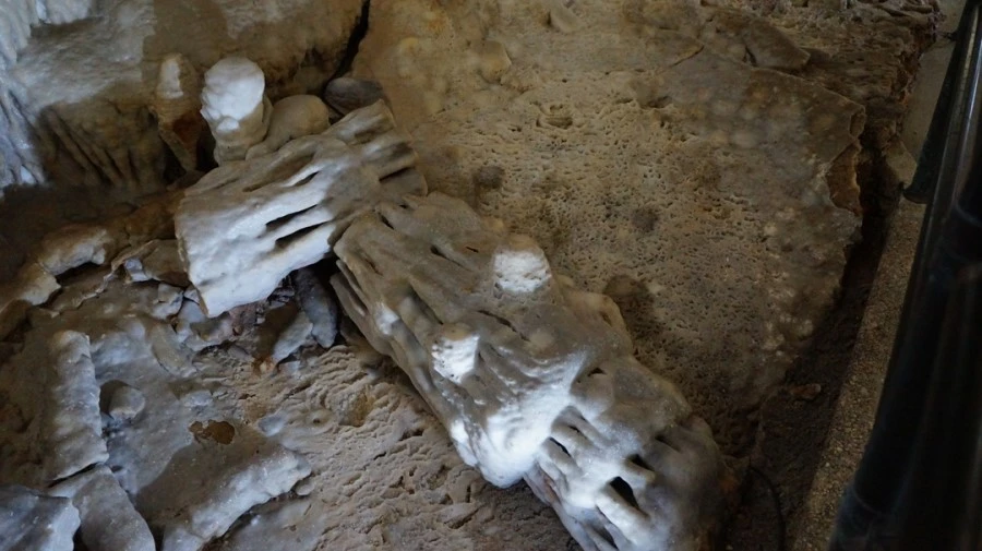 DSC06364.jpg?type=w1