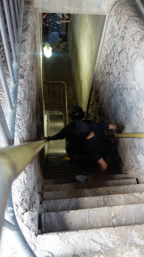 DSC01456.jpg?type=w1