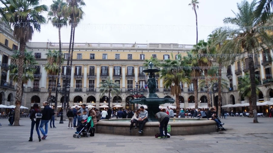 DSC09652.jpg?type=w1