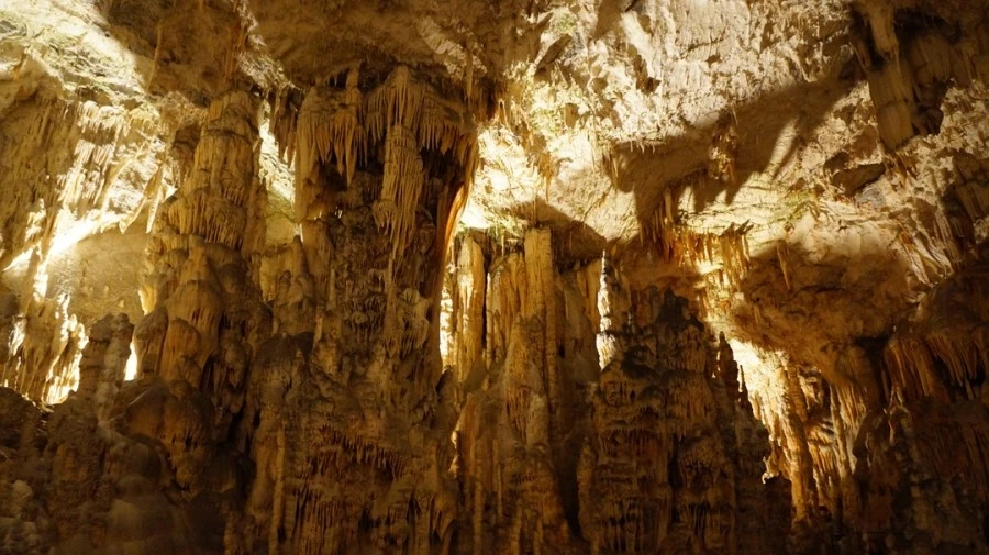 DSC06403.jpg?type=w1