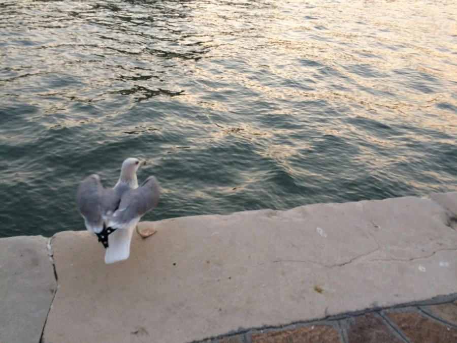 IMG_4387.jpg?type=w1