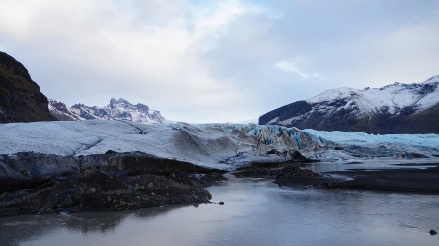 DSC08890.jpg?type=w1