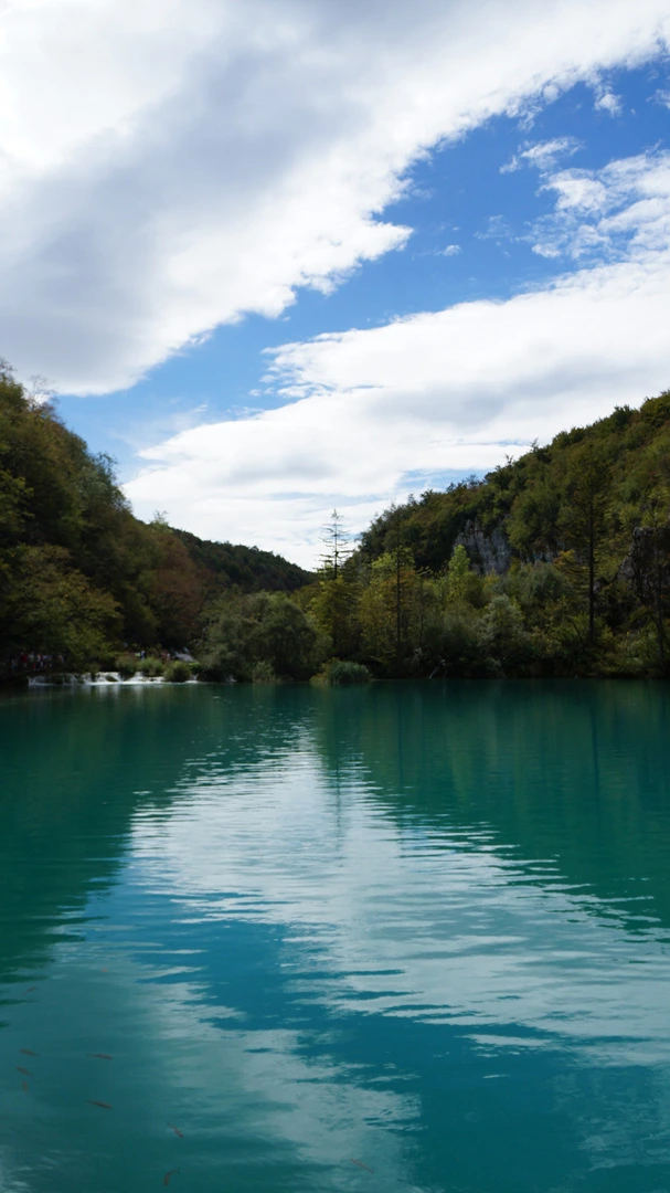 DSC05693.jpg?type=w1