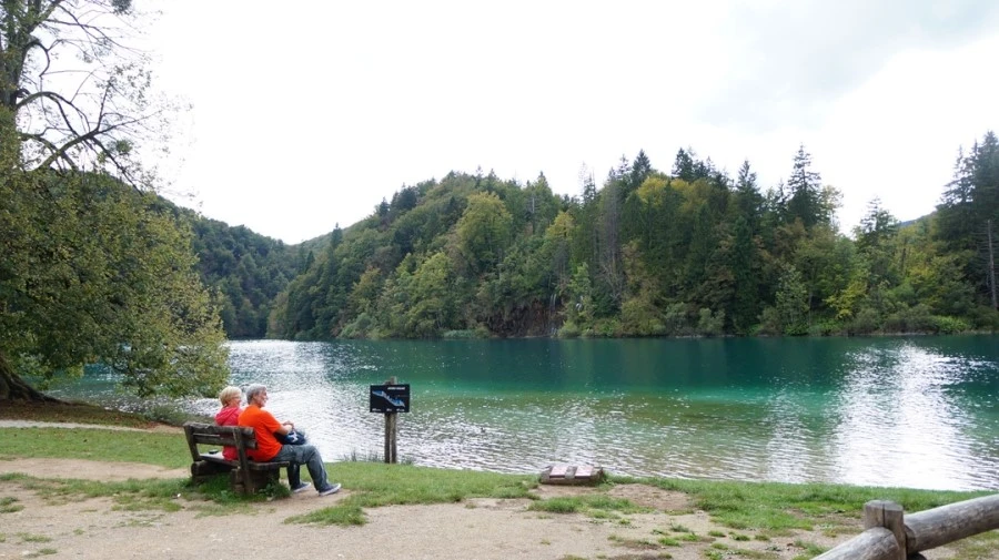 DSC05892.jpg?type=w1