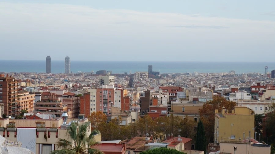 DSC09771.jpg?type=w1