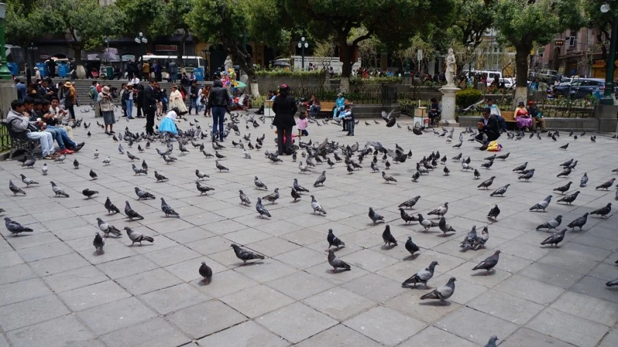 DSC00456.jpg?type=w1