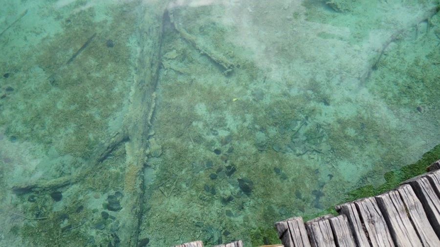 DSC05835.jpg?type=w1