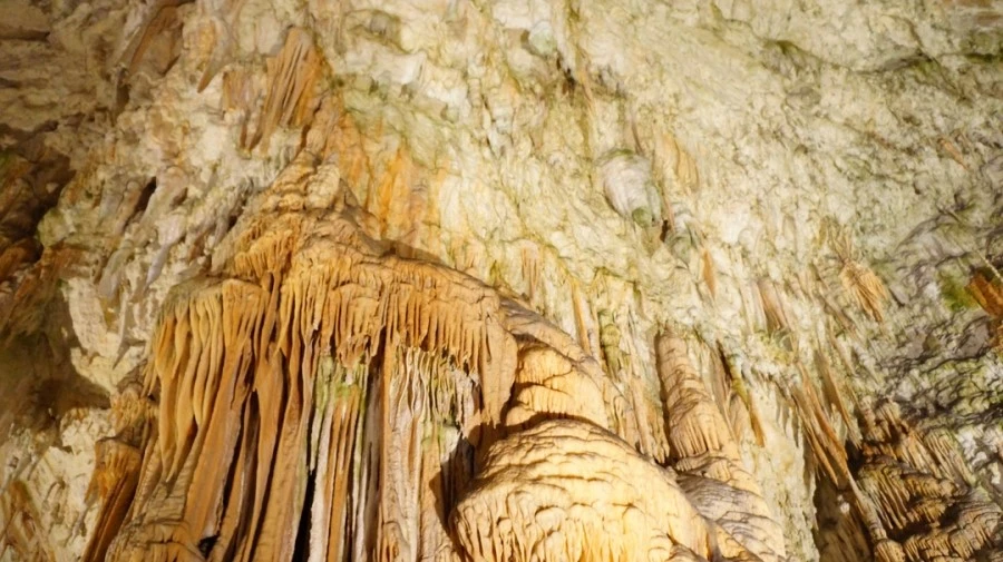 DSC06275%A4%D1.jpg?type=w1