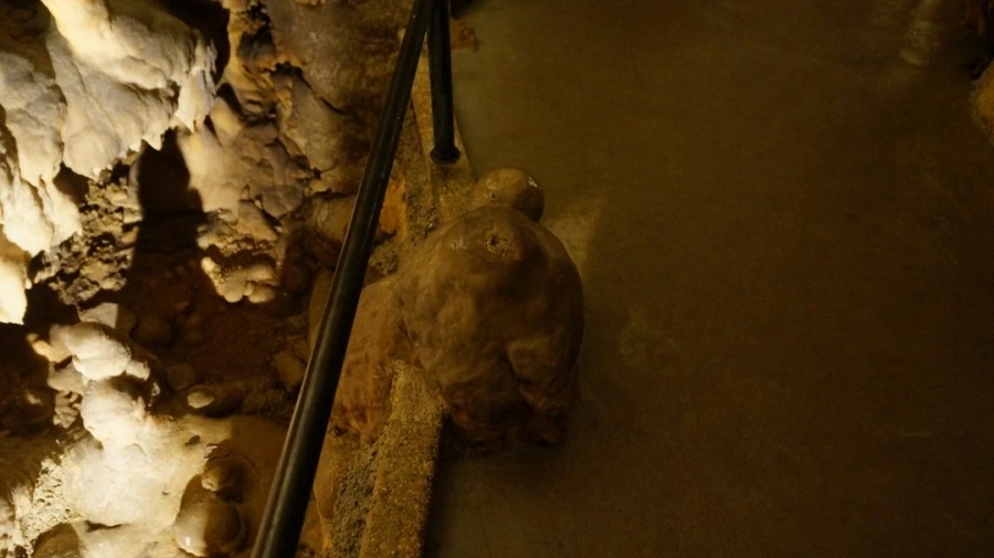 DSC06409.jpg?type=w1