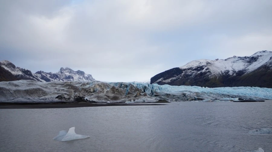 DSC08917.jpg?type=w1