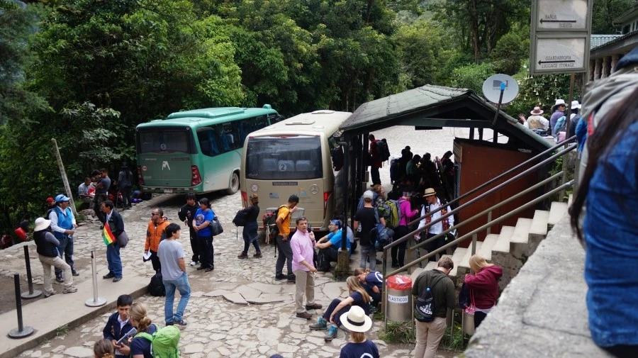 DSC01355.jpg?type=w1