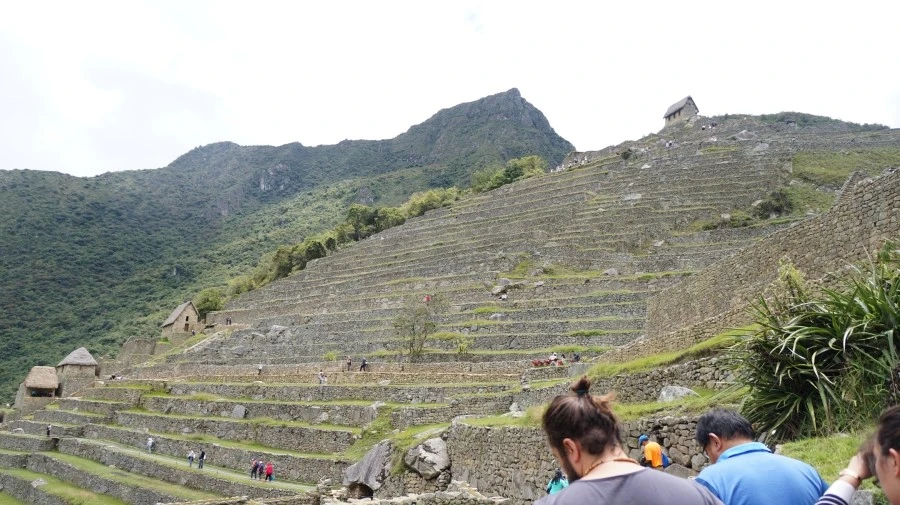 DSC01526.jpg?type=w1