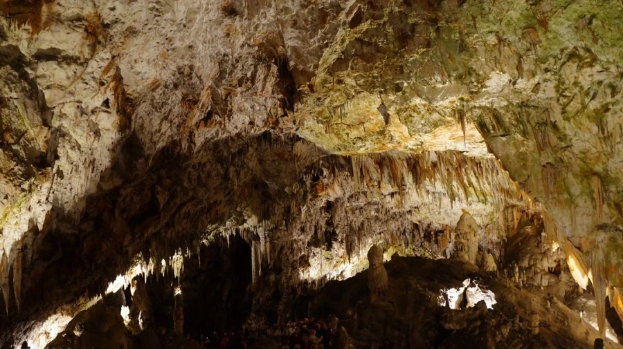 DSC06265%A4%D1.jpg?type=w1