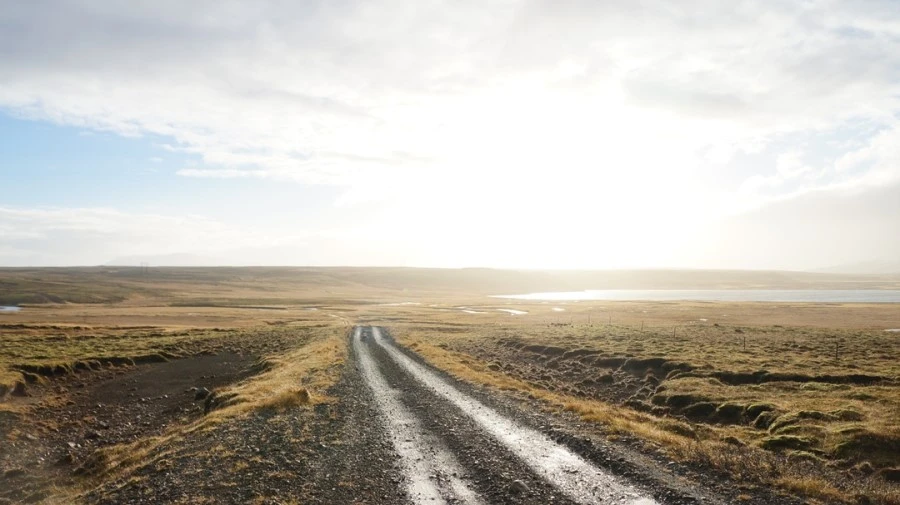 DSC07504%E3%85%A1.jpg?type=w1