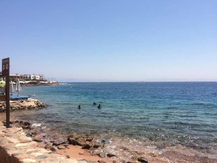 IMG_2787.jpg?type=w1