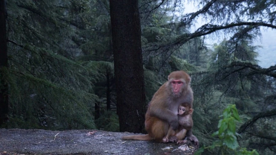 DSC02650.jpg?type=w1