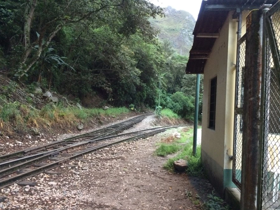 IMG_7752.jpg?type=w1