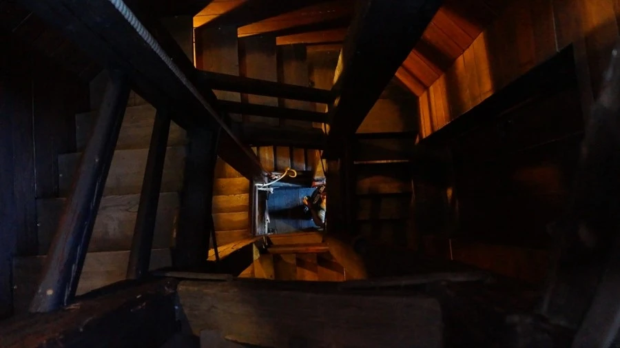 DSC05477.jpg?type=w1