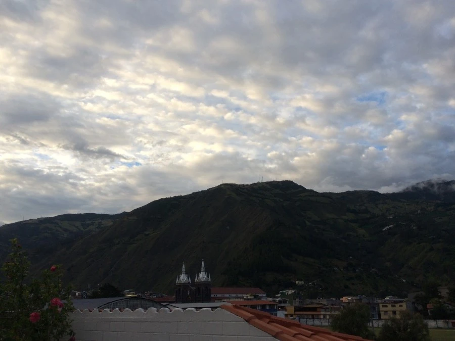 IMG_7941.jpg?type=w1