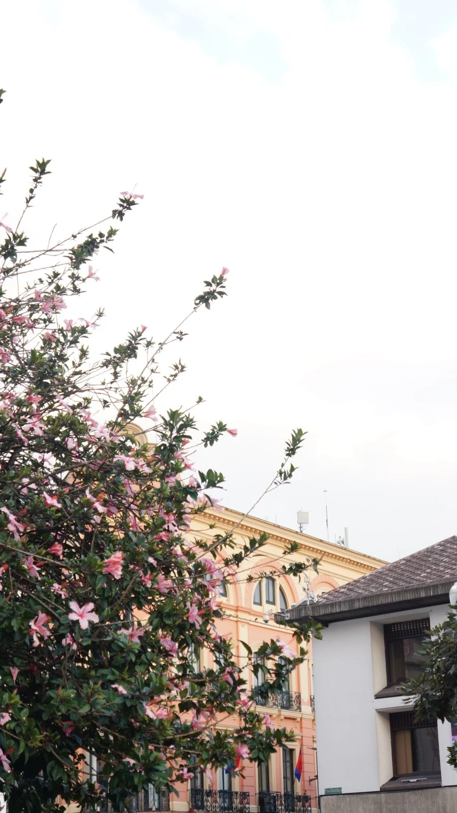 DSC04242.jpg?type=w1