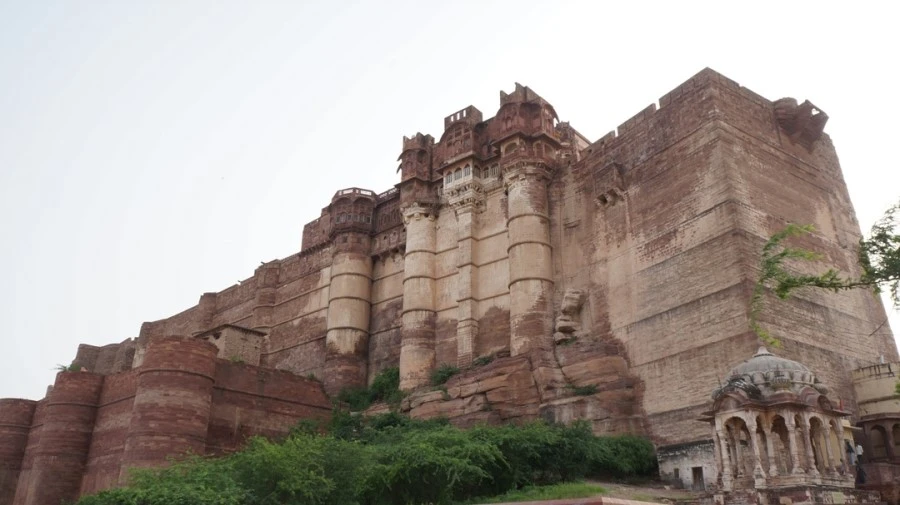 DSC03204.jpg?type=w1