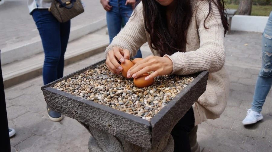 DSC04064.jpg?type=w1