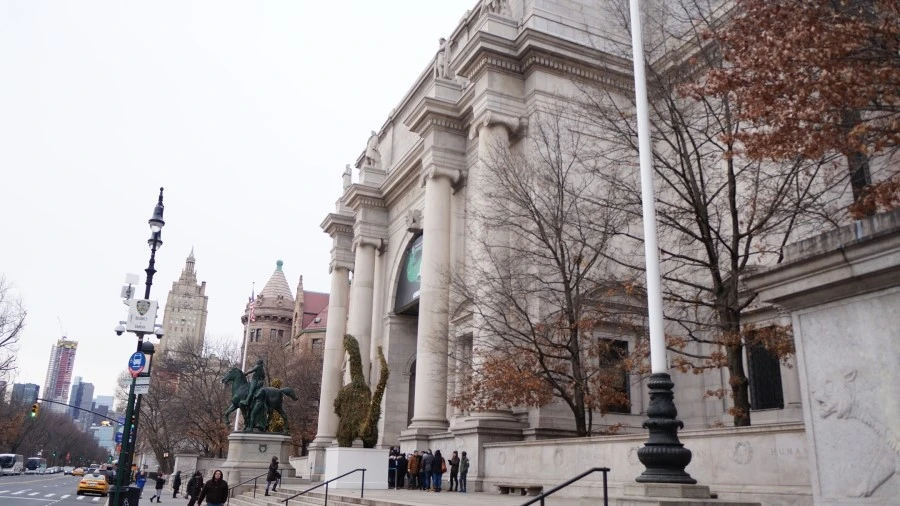 DSC04335.jpg?type=w1